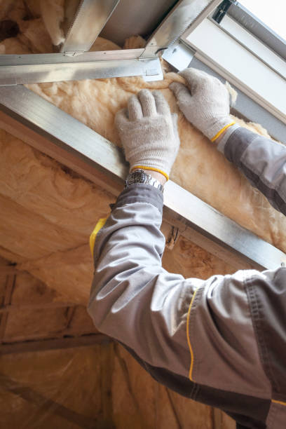 Best Insulation for Specific Applications in Lexico, CA